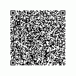 vCard 73513928211