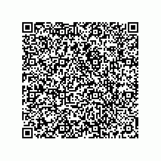 vCard 73513928285