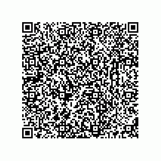 vCard 73514231129