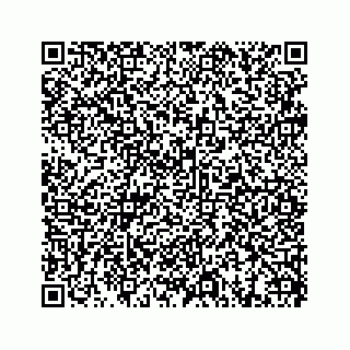 vCard 73514324207