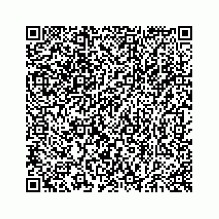 vCard 73514324288