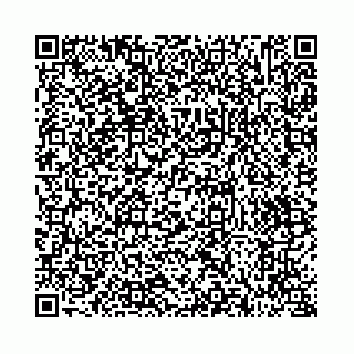 vCard 73514339111