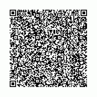 vCard 73514339113