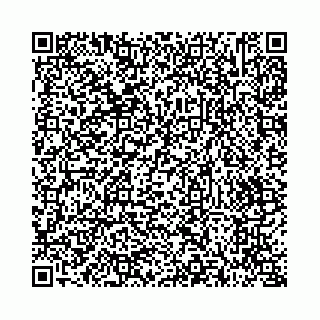 vCard 73514339119