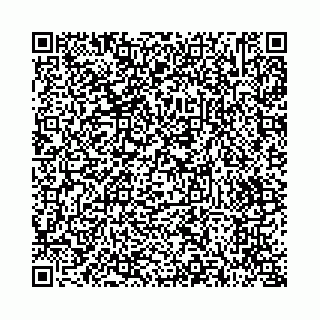 vCard 73514339121
