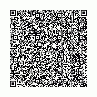 vCard 73514339131