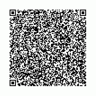 vCard 73514339133