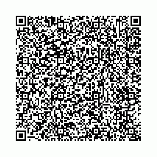 vCard 73514339139
