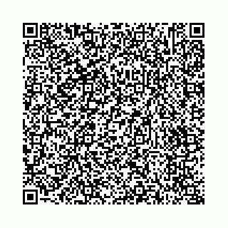 vCard 73514339169