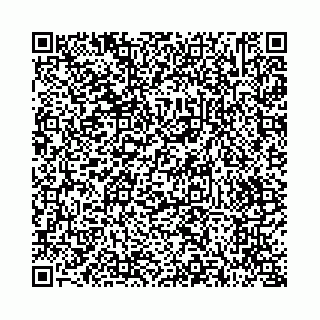 vCard 73514339181