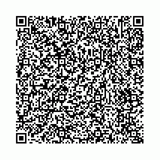 vCard 73514339199