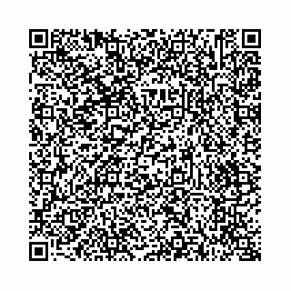 vCard 73514339209