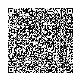 vCard 73514339211
