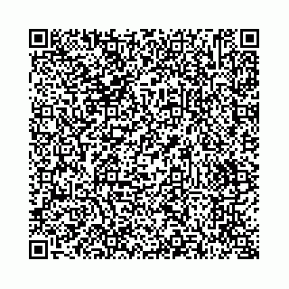vCard 73514339219