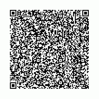 vCard 73514339221