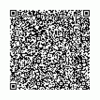 vCard 73514339229