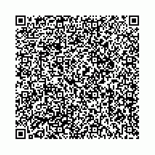 vCard 73514339233