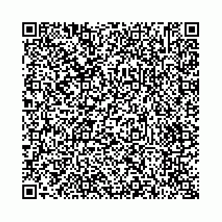vCard 73514339249