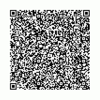 vCard 73514339253