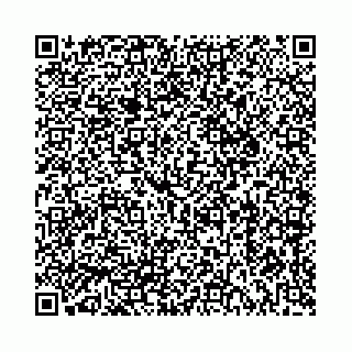 vCard 73514339263