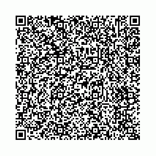 vCard 73514339275