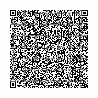 vCard 73514339281