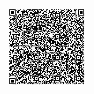 vCard 73514339297