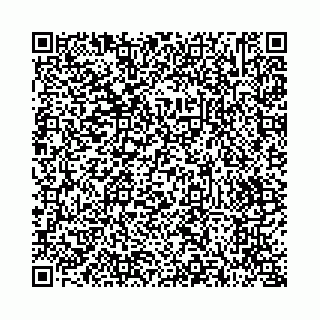 vCard 73514339299