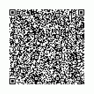 vCard 73514339303