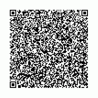 vCard 73514339313