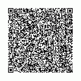 vCard 73514339319
