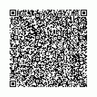 vCard 73514339329