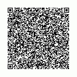 vCard 73514339334