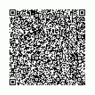 vCard 73514339335