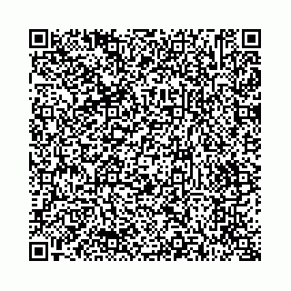 vCard 73514339337