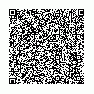 vCard 73514339351