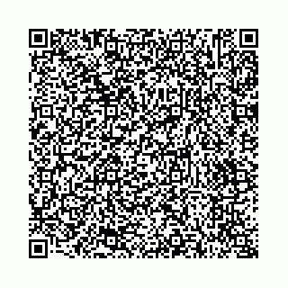 vCard 73514339371