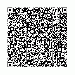 vCard 73514339385