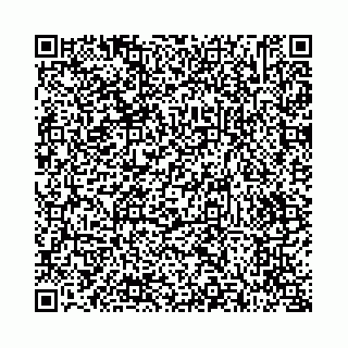 vCard 73514339391