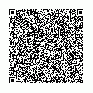 vCard 73514339403