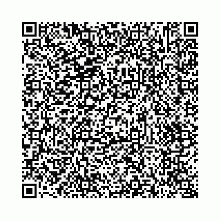 vCard 73514339419