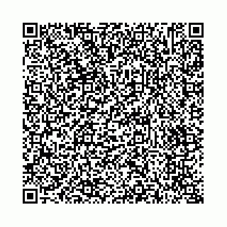 vCard 73514339521