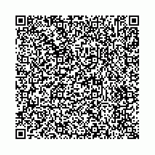 vCard 73514339522