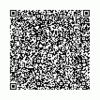vCard 73514339524