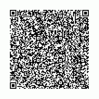 vCard 73514339571