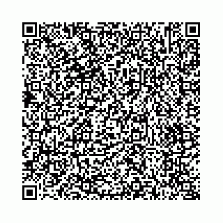 vCard 73514339581