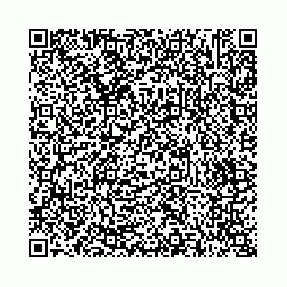 vCard 73514339601