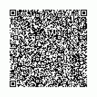 vCard 73514339603