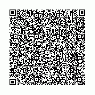 vCard 73514339619