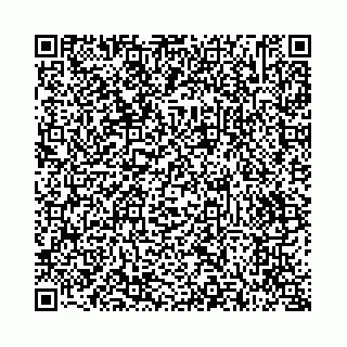 vCard 73514339631